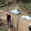 Another Child Killed By A Dog In Free-State Today,